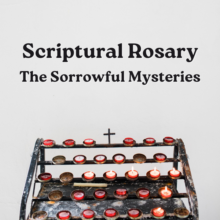 Praying a Scriptural Rosary | Sorrowful Mysteries