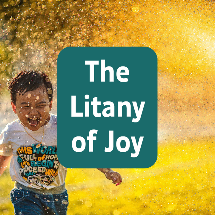 Litany of Joy | A Guide to Praying and PDF Download