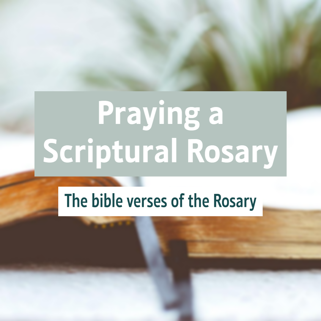 Praying a Scriptural Rosary [Catholic Guide]